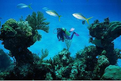 传EA有意在未来让《战地》年货化 每年一部的节奏